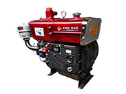 ZS195P